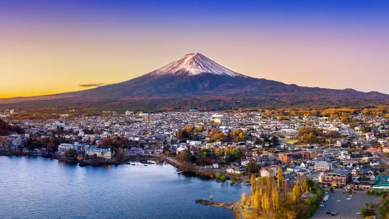 The Japan Journey 2